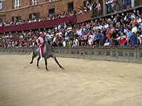 During Il Palio trial race